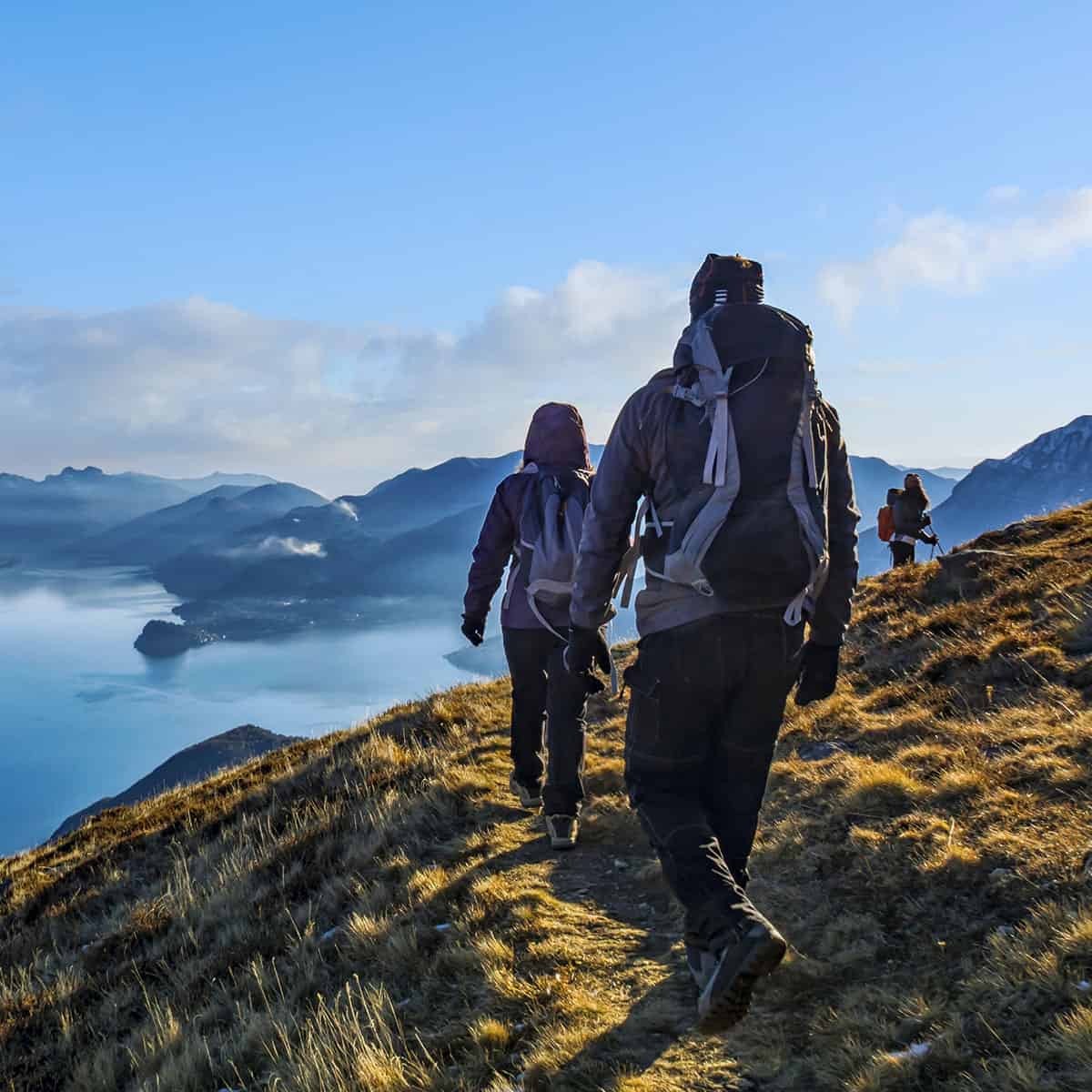 Sky Replacement Photoshop Stock Library | Master Collection - PRO EDU PRO EDU PRO EDU